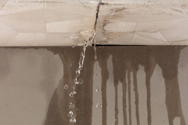 Professional Burst Pipe Cleanup technician working in Powhatan Point, OH